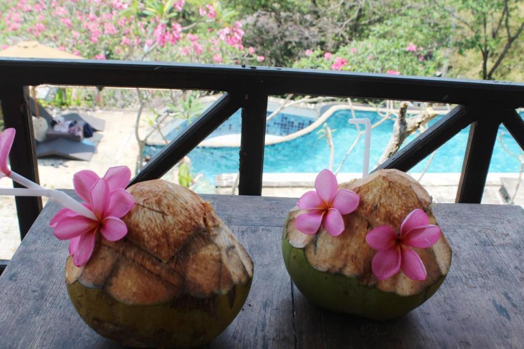 Lombok Coconut Hotel Mangsit Екстер'єр фото
